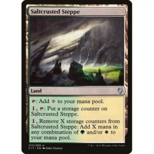 Steppa Salata