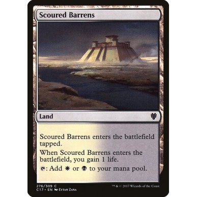 Scoured Barrens