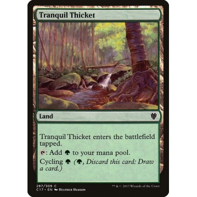 Tranquil Thicket