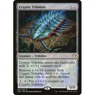Cryptic Trilobite