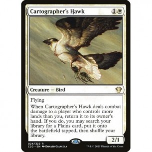 Cartographer's Hawk