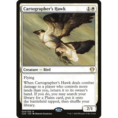 Falco del Cartografo