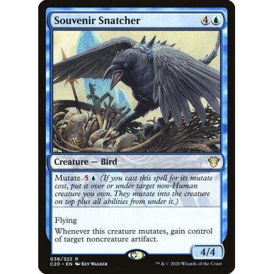 Souvenir Snatcher