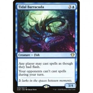 Barracuda delle Maree