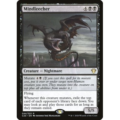 Mindleecher