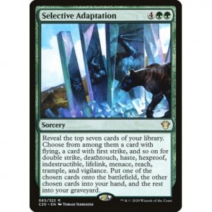 Selective Adaptation