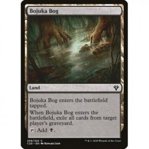Acquitrino di Bojuka