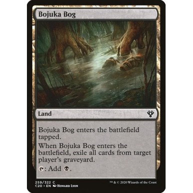 Acquitrino di Bojuka