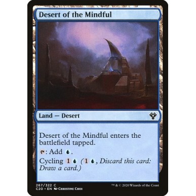 Desert of the Mindful