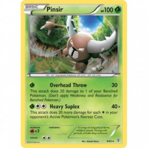 Pinsir
