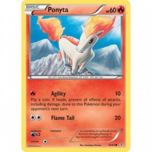 Ponyta