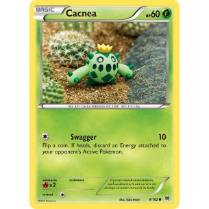 Cacnea
