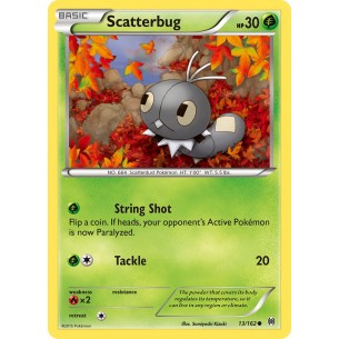 Scatterbug