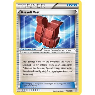 Assault Vest