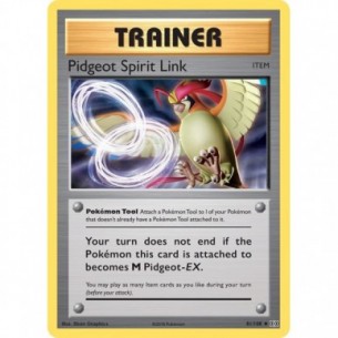 Pidgeot Spirit Link