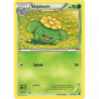 Skiploom