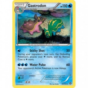 Gastrodon