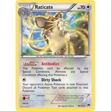 Raticate