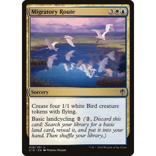Rotta Migratoria