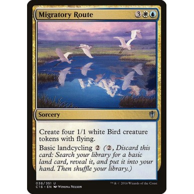 Rotta Migratoria