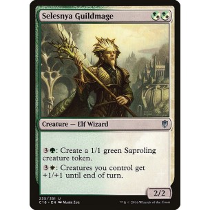 Mago della Gilda di Selesnya