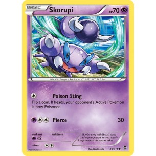 Skorupi