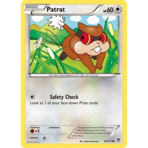 Patrat