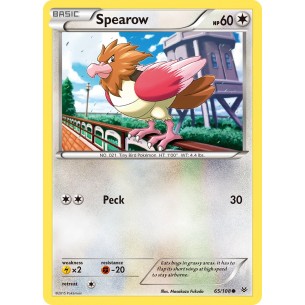 Spearow