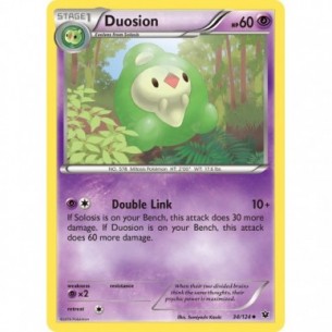 Duosion