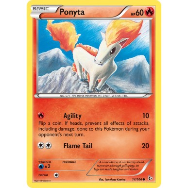Ponyta
