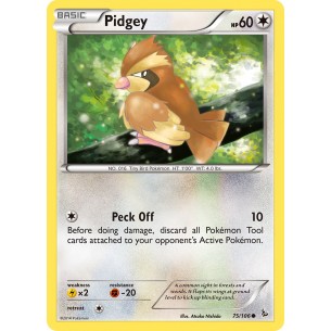 Pidgey