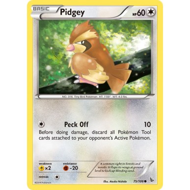 Pidgey