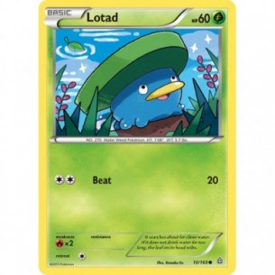 Lotad