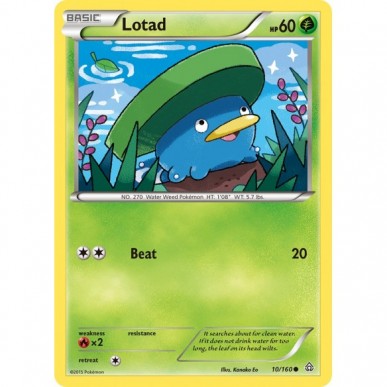 Lotad