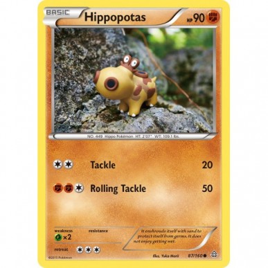 Hippopotas