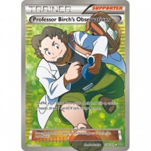 Professor Birch's Observations