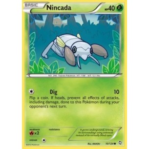 Nincada