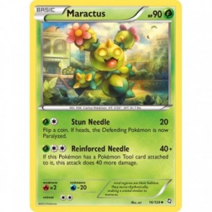 Maractus