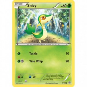 Snivy