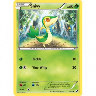 Snivy