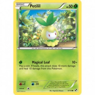 Petilil