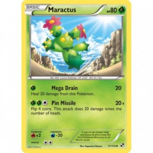 Maractus