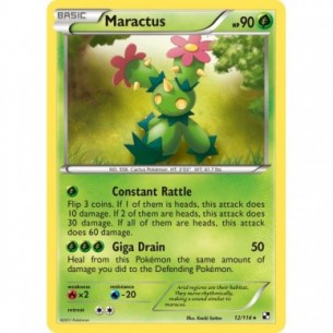 Maractus