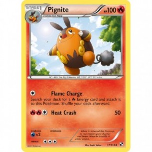 Pignite