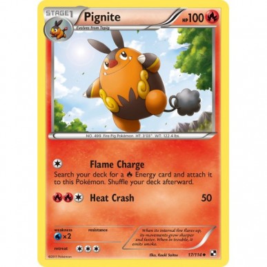 Pignite