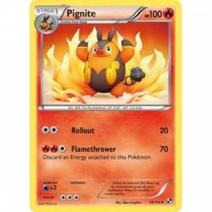 Pignite