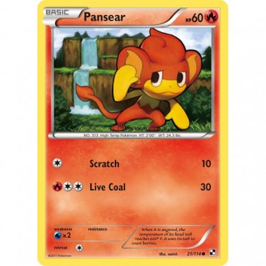 Pansear