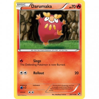 Darumaka