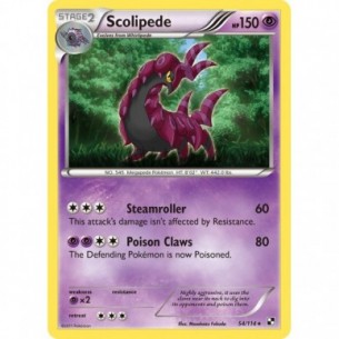 Scolipede