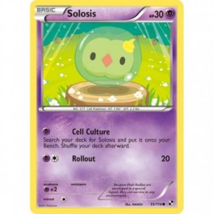 Solosis